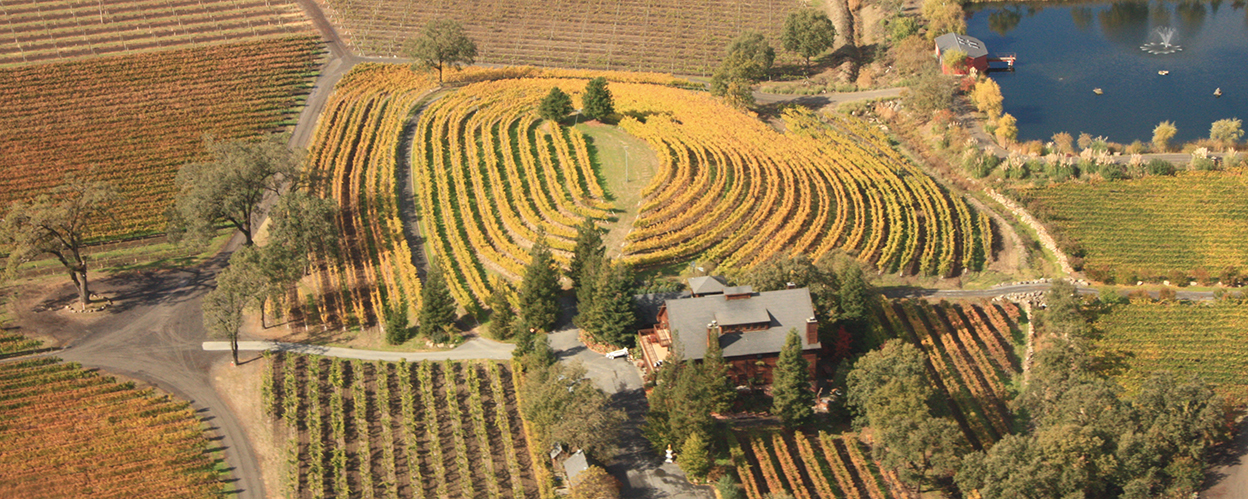 Sonoma County